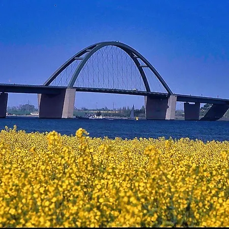 Lejlighed Moewennest 11 -